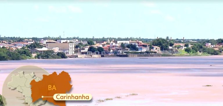Reportagem do Globo Rural mostra prejuízos causados na agricultura e pecuária por conta da cheia do São Francisco e das chuvas excessivas
