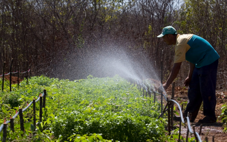 Plano Municipal da Agricultura Familiar será lançado em Carinhanha