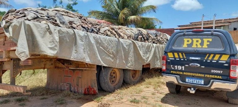 Carga com 18 mil quilos de couro bovino foi apreendida na Bahia