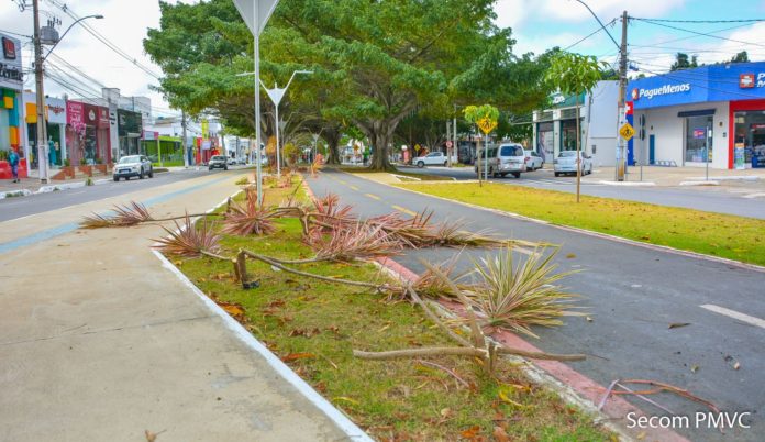 Foto mostra plantas caídas após serem danificadas em ato de vandalismo no canteiro central da Avenida Olívia Flores