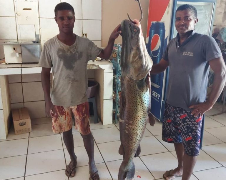Foto mostra o surubim pescado pendurado a um gancho entre dois pescadores