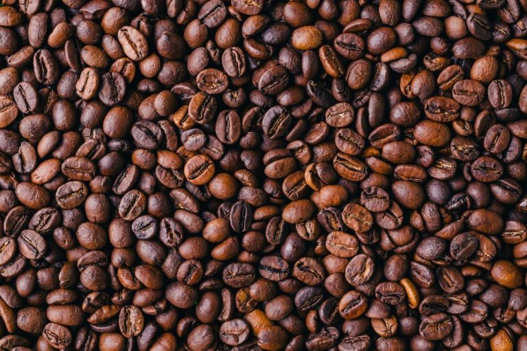 Fotos mostram grãos de café