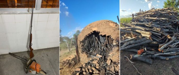 Três fotos mostram a espingarda e a motosserra, o forno e a madeira apreendida