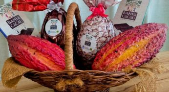 Agricultura familiar baiana oferece diversas opções de chocolates para a páscoa