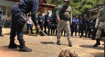 Guardas municipais de Vitória da Conquista tiveram aula prática de manuseio de animais silvestres com instrutores da Guarda de Salvador
