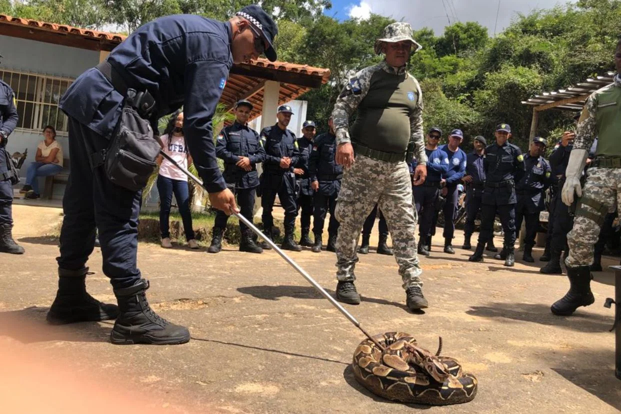 Guardas municipais de Vitória da Conquista tiveram aula prática de manuseio de animais silvestres com instrutores da Guarda de Salvador