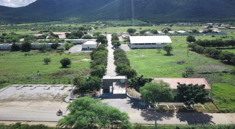 IF Baiano abre 650 vagas para cursos técnicos em Guanambi, Santa Inês e Teixeira de Freitas