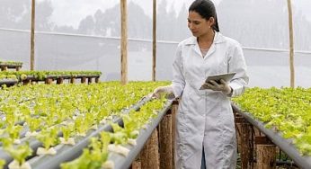 Programas de Mestrado e Doutorado em Agronomia têm inscrições prorrogadas pela Uesb