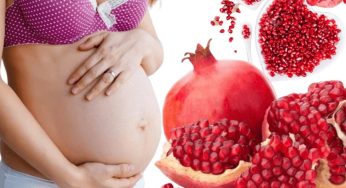 Pesquisadora da Uesb revela que consumo de romã durante a gravidez pode trazer riscos à saúde