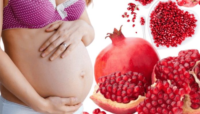 Pesquisadora da Uesb revela que romã pode trazer malefícios durante a gravidez