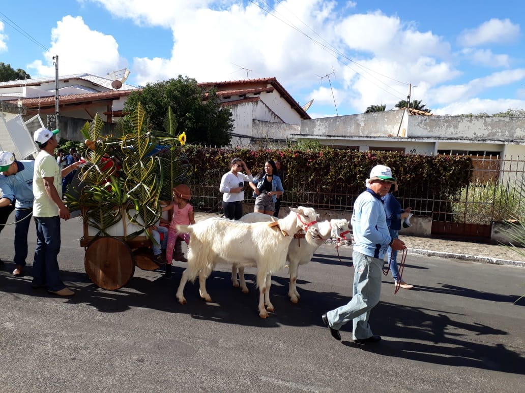 Tradicional desfile de Carros de Bois acontece em Caetité nesta sexta