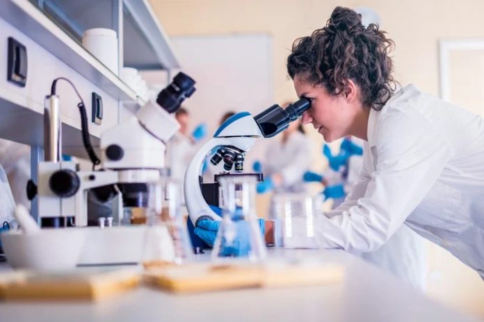 Uesb abre seleção especial para os programas de mestrado e doutorado em bioquímica e biologia molecular