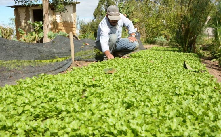 Feira agroecológica da Uesb