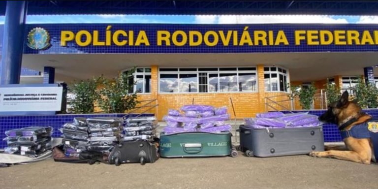 Cães farejadores da PRF ajudaram em novas apreensões de drogas em Vitória da Conquista