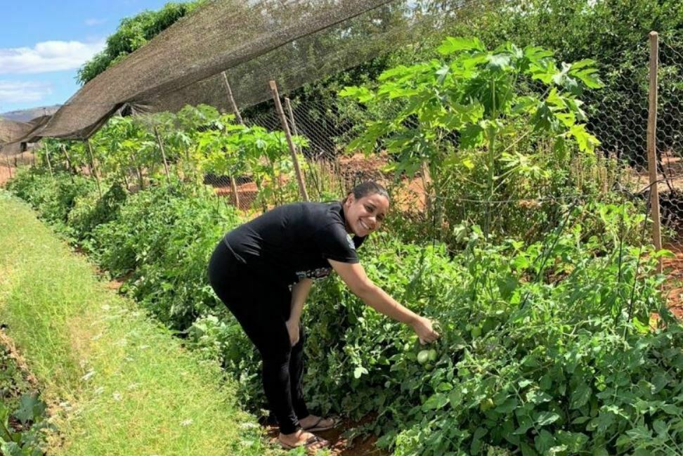 Mulheres de comunidade rural de Pindaí melhoram renda com a produção de hortaliças e frutíferas