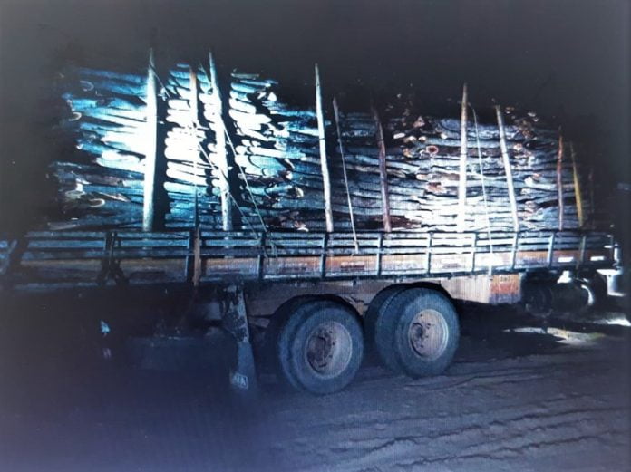 Caminhão com carga ilegal de madeira nativa foi preso no oeste da Bahia