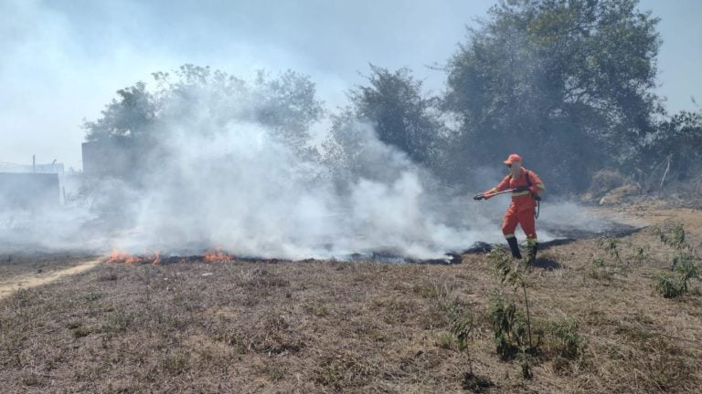 Incêndios florestais vitória da conquista