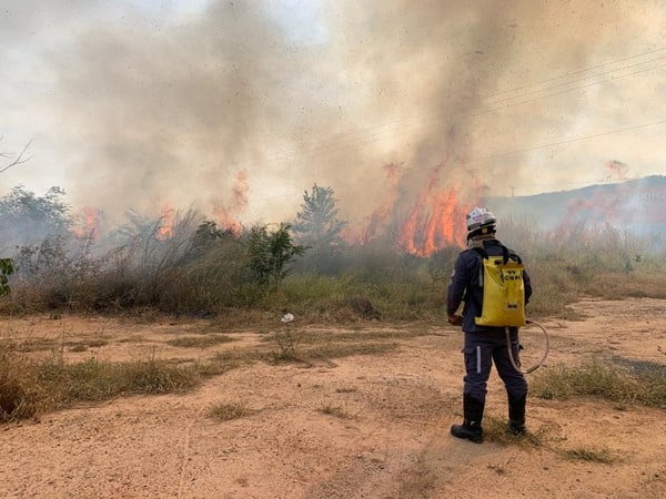 Operação conjunta para combate a incêndios florestais será lançada em Barreiras nesta quarta