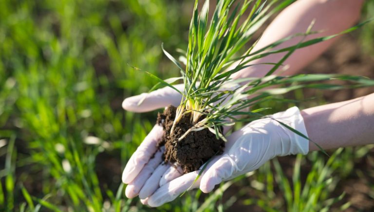 Semana de Agronomia da Uesb
