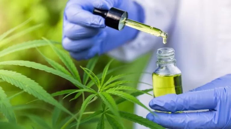 Após protestos, Conselho Federal de Medicina fará consulta sobre medicamentos à base do canabidiol