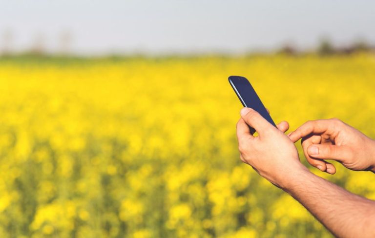 Celular agricultura