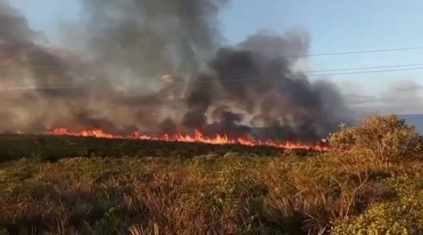 Incêndio de grandes proporções atinge reserva ambiental, em