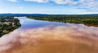 Comitê da Bacia Hidrográfica do Rio São Francisco emitiu nota negando intervenções do Governo na preservação de nascentes