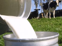 Encontro da cadeia produtiva de leite da Bahia acontece em Barreiras até esta quarta