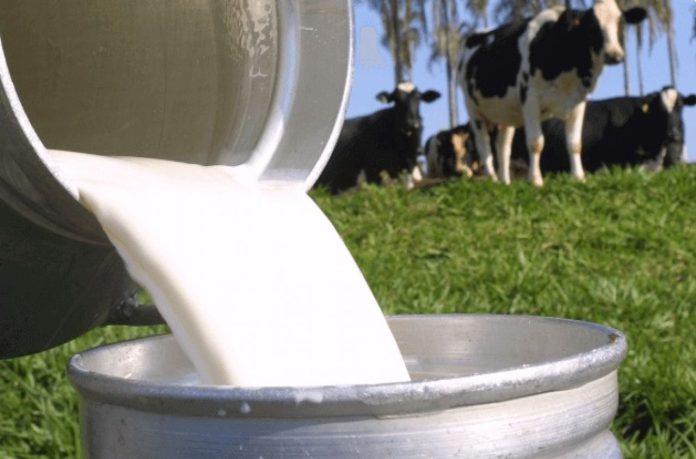 Encontro da cadeia produtiva de leite da Bahia acontece em Barreiras até esta quarta