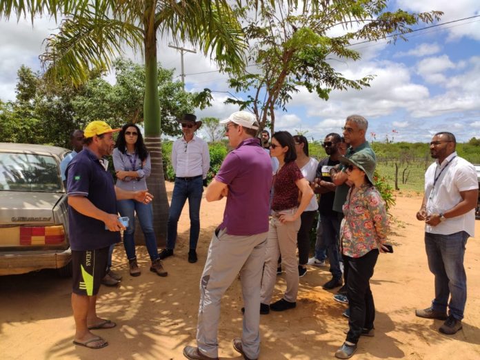 Projeto em comunidade rural de Caetité recebeu visita de equipe do Banco Mundial