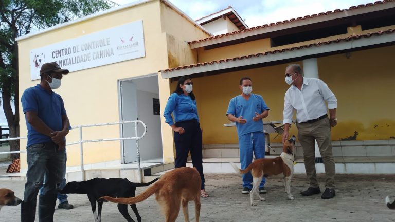 Canil municipal de Guanambi deve receber melhorias para ampliar atendimento