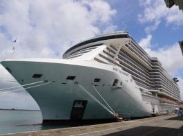 Chegada do maior navio de cruzeiro do mundo a Salvador inicia rota internacional do setor na Bahia