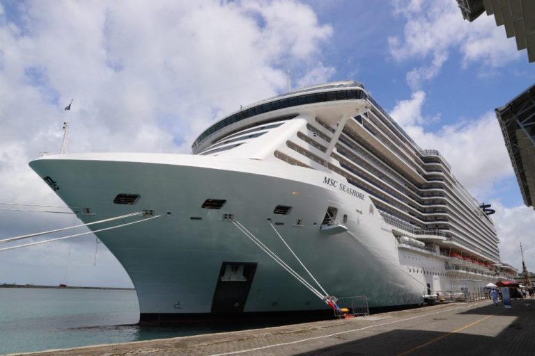 Chegada do maior navio de cruzeiro do mundo a Salvador inicia rota internacional do setor na Bahia