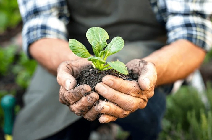 uneb está com inscrições abertas para os cursos de agroecologia e engenharia.jpg