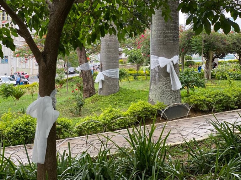 Alvorada do Ojás marcará Dia de Combate à Intolerância Religiosa em Vitória da Conquista