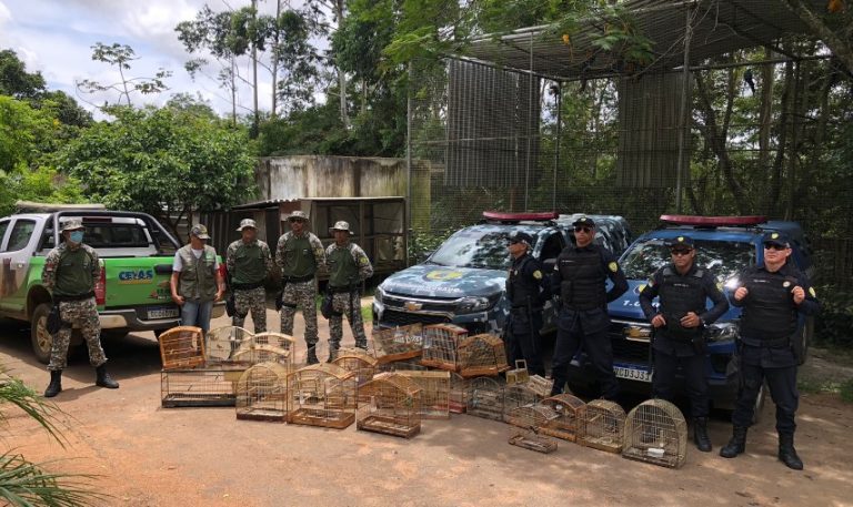 Fiscalização em Vitória da Conquista apreendeu 28 aves silvestres criadas de forma ilegal