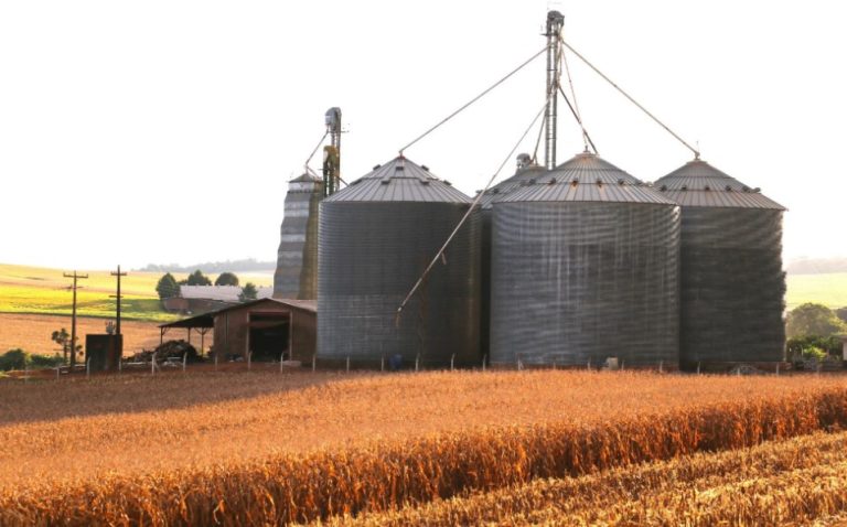 MPT investiga morte em silo de soja no oeste da Bahia