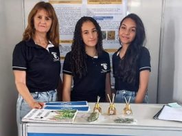 Estudantes de Malhada de Pedras criam aromatizador natural que combate muriçocas