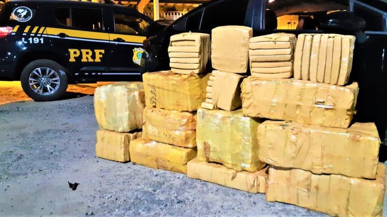 PRF registrou aumento de quase 150% nas apreensões de cocaína na Bahia em 2022