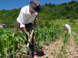 Garantia Safra inicia cadastramento de agricultores em Guanambi