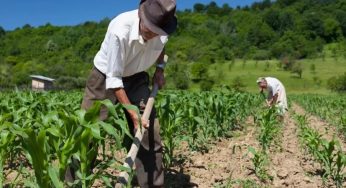 Cerca de 1,7 mil agricultores de Guanambi recebem Garantia Safra a partir desta sexta
