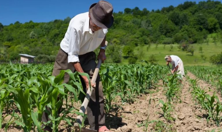 Garantia Safra inicia cadastramento de agricultores em Guanambi