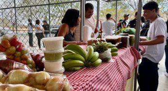Feiras Agroecológicas voltam a ser realizadas em Guanambi e Caetité