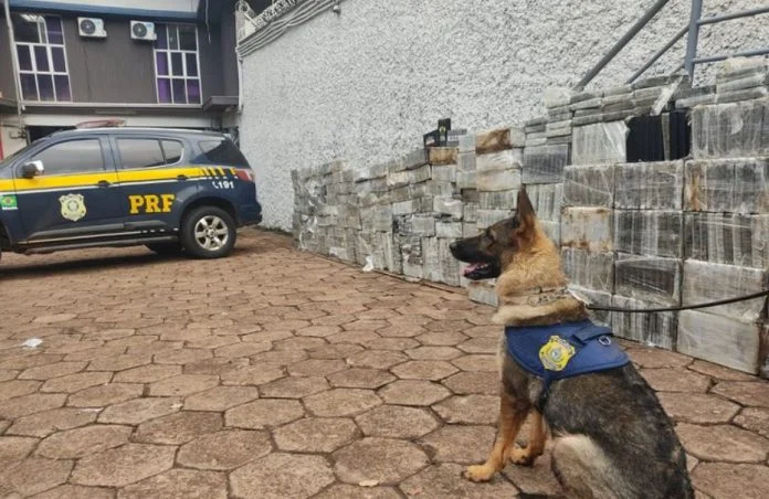 Maior apreensão de cocaína da história