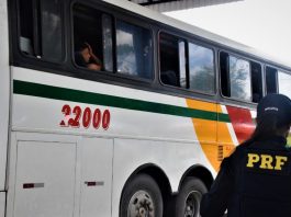 Trabalho análogo ao de escravo Sul Bahia