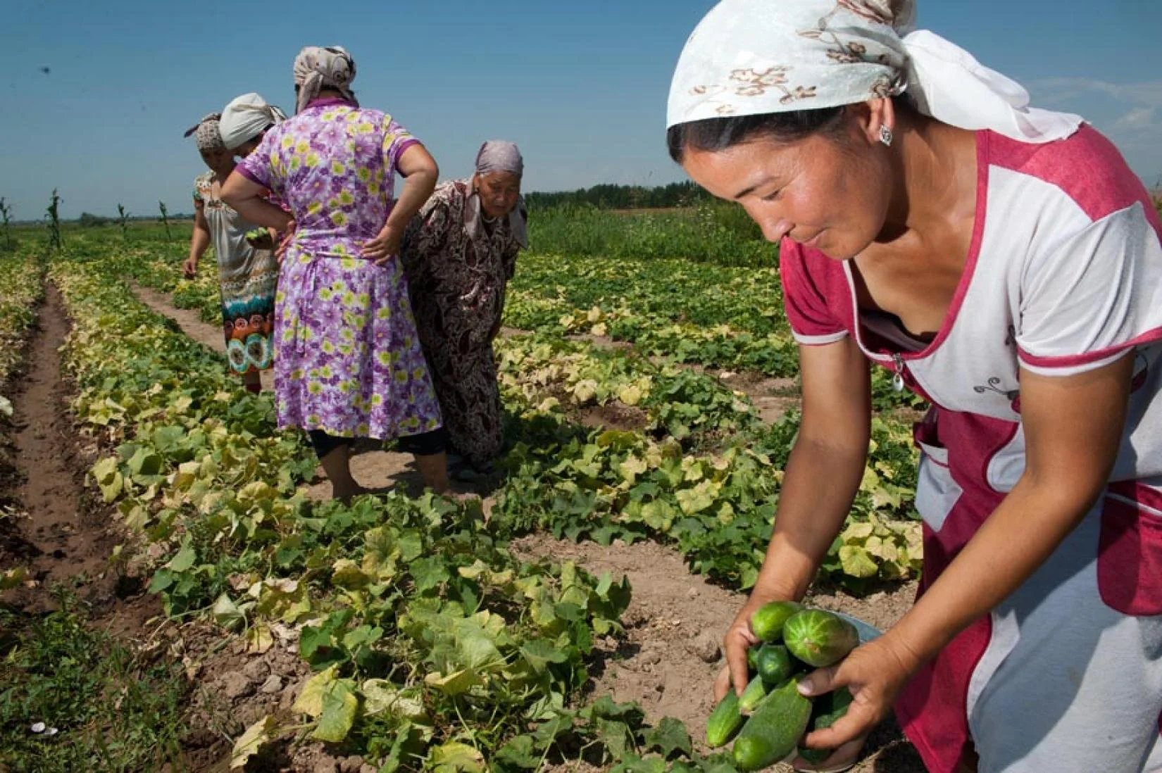 Projeto de desenvolvimento rural prioriza a participação de mulheres em Pindaí e Pintadas