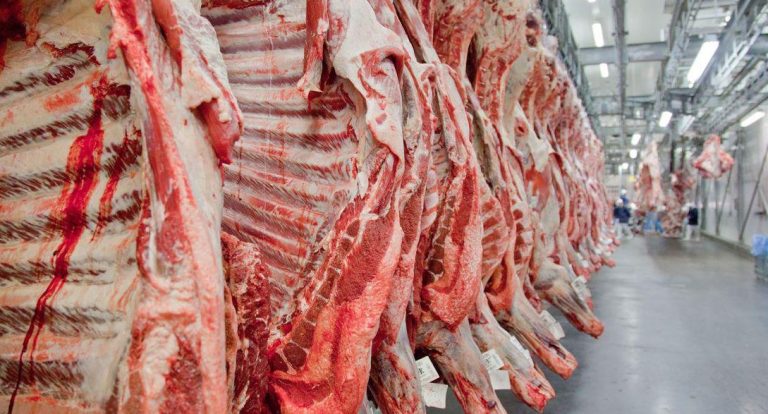 Carne bovina méxico