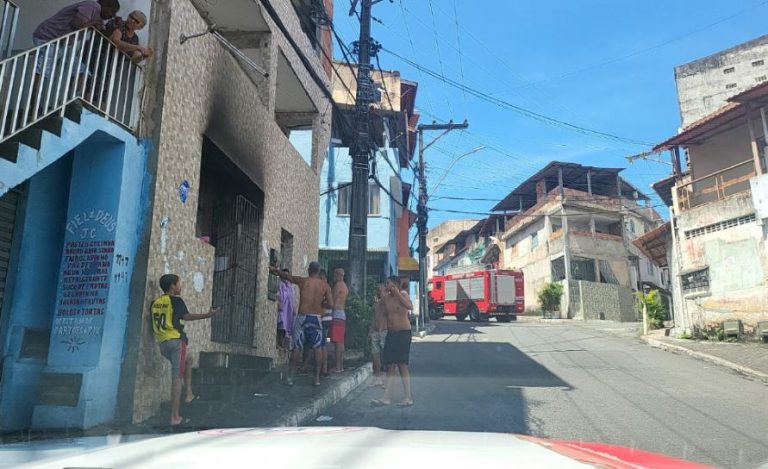 Filhote de gato e cachorro foram resgatados de incêndio em Salvador