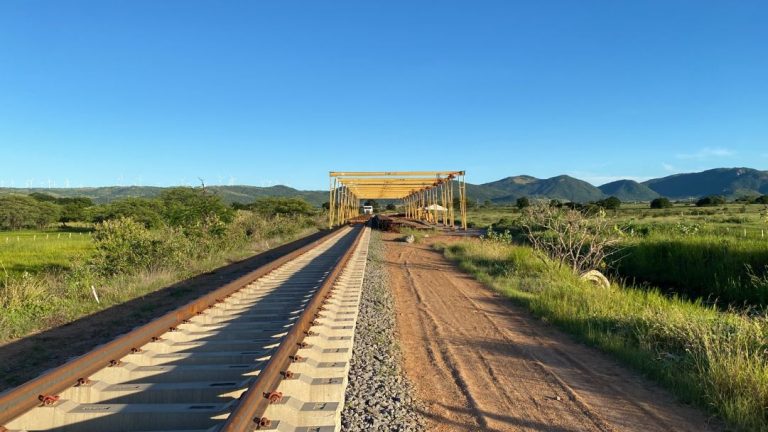 Fiol Guanambi