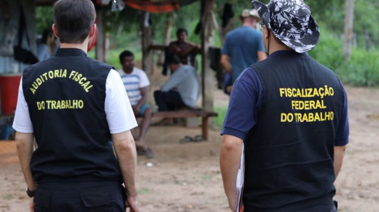 Operação do Ministério do Trabalho resgatou mais de 200 pessoas em situação de trabalho escravo em GO e MG